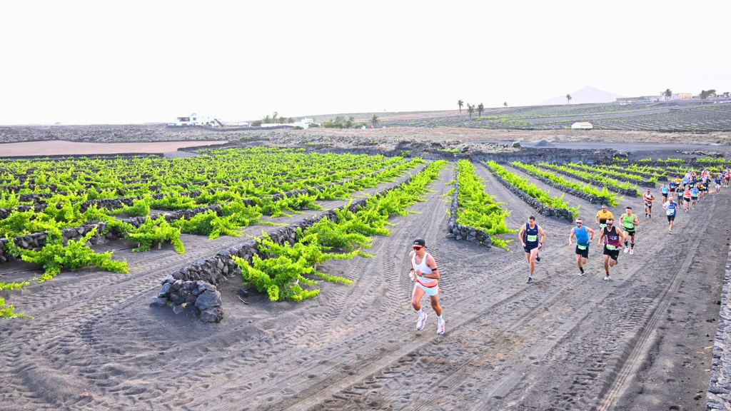 Lanzarote Wine Run 1 lanzarote wine run
